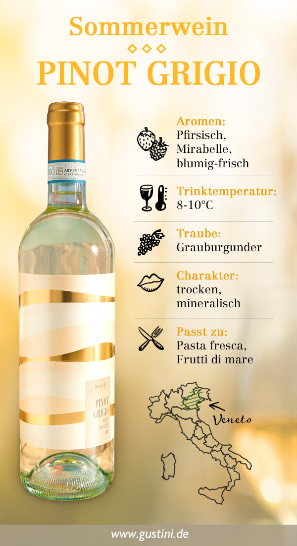 Pinot Grigio -blogin infografiikka
